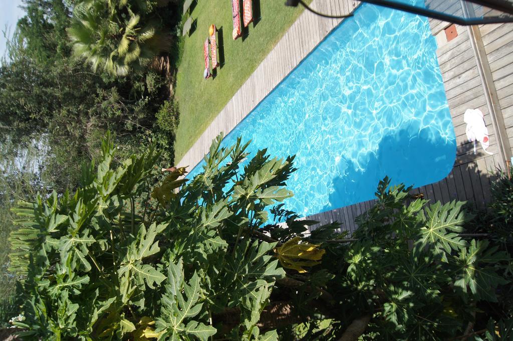 Meru House Lekisilai Аруша Экстерьер фото